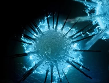 Έμπολα: Όλα όσα πρέπει να ξέρετε για τον ιό (βίντεο)